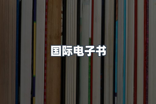 国际电子书